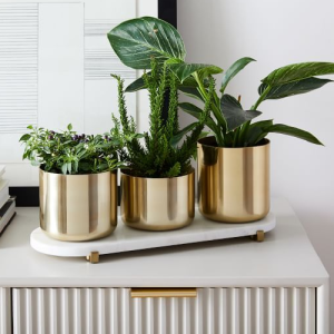 Metal planter holder