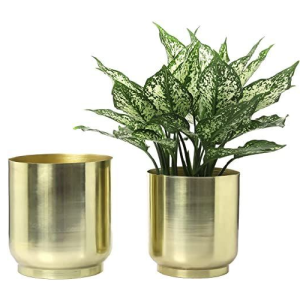 Brass planters