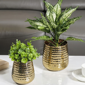 Brass planters
