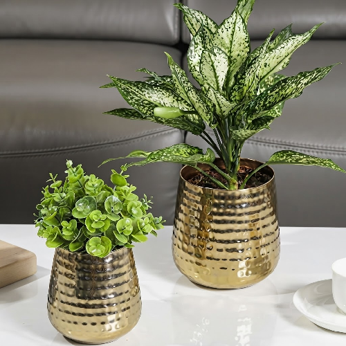 Brass planters - Image 3