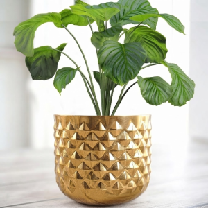 Brass planters
